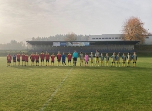 FK Cvikov : TJ Horní Libchava 7:0 (4:0)