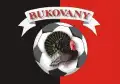 SK Družba Bukovany "B"/Sloup