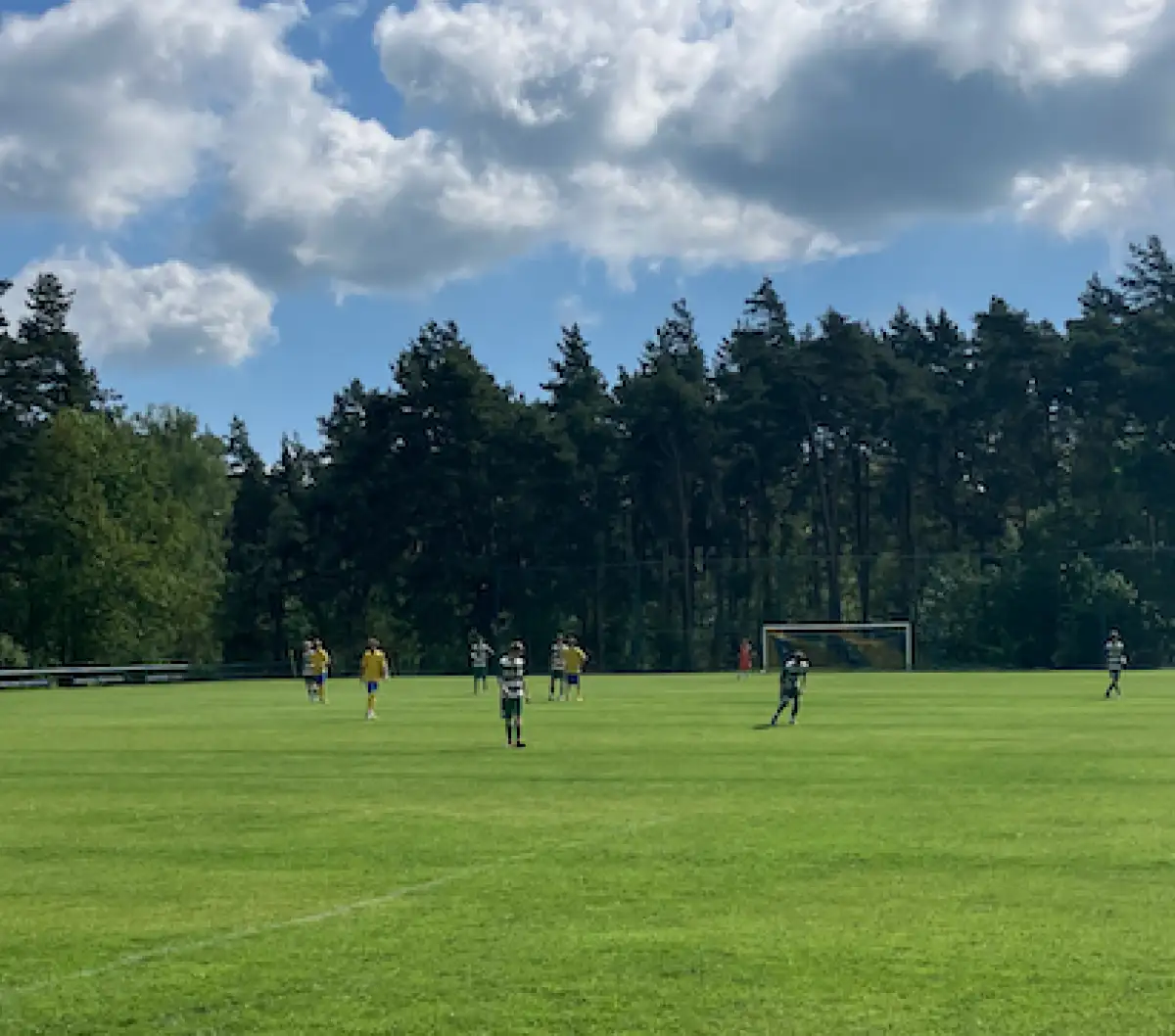 FK Cvikov "dorost" - FC Nový Bor