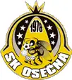 TJ Sokol Rozstání "B"/SK Osečná