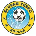 TJ Slovan Vesec